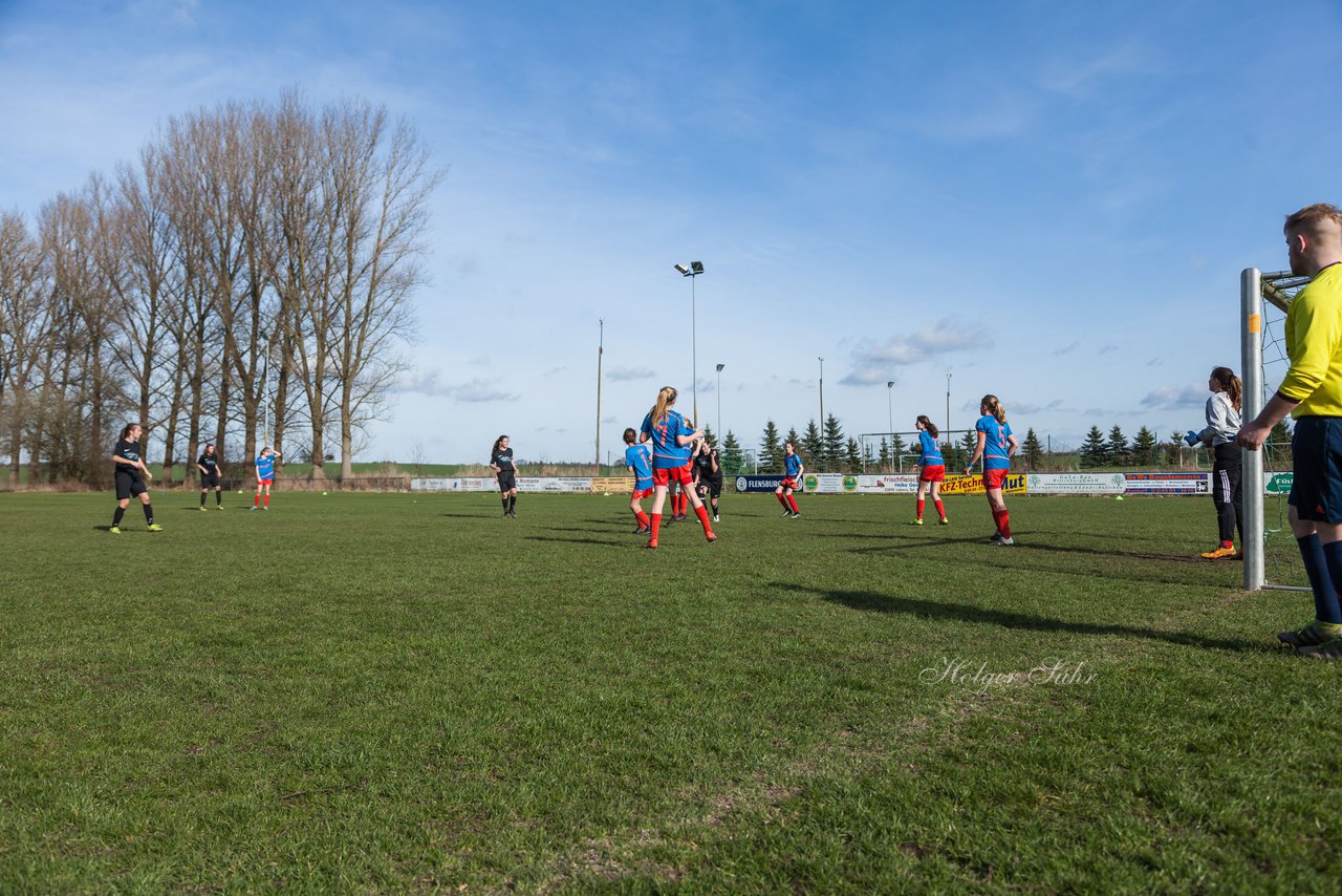 Bild 260 - C-Juniorinnen SV Steinhorst/Labenz - TSV Friedrichsberg-Busdorf : Ergebnis: 5:0